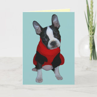 Buster Card