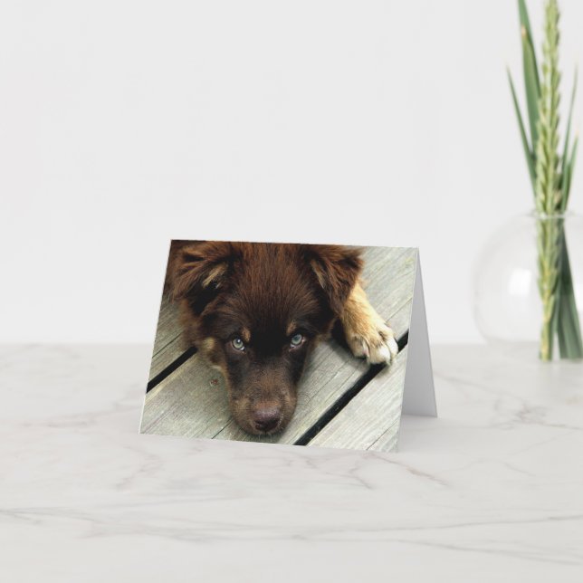 Buster Notecard (Front)