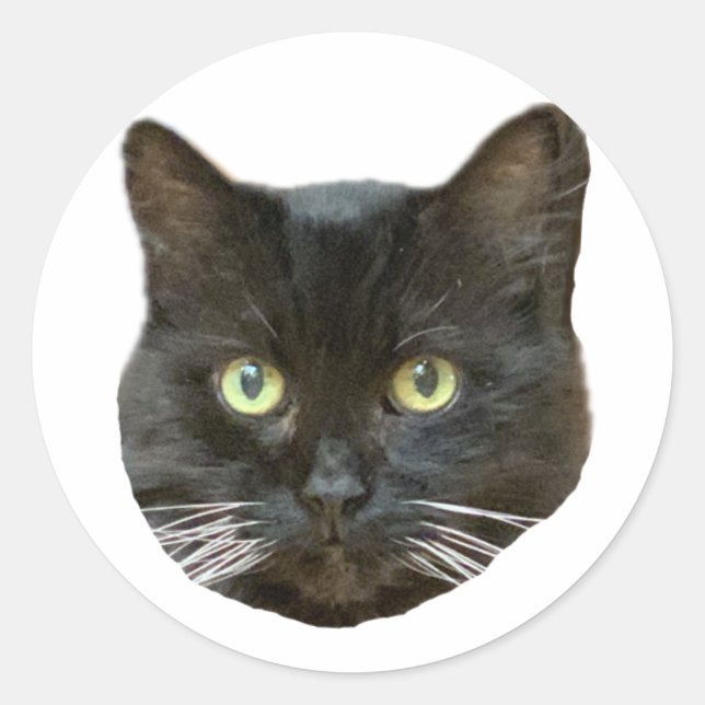 Buster Sticker (Front)
