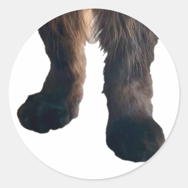 Buster Sticker - Feet! (Front)