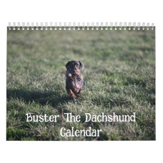 Buster the Dachshund Calendar