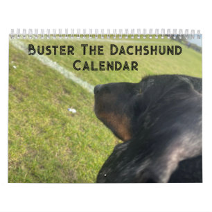 Buster the Dachshund Calendar