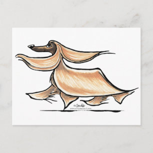 Busy Afghan Hound Postcard