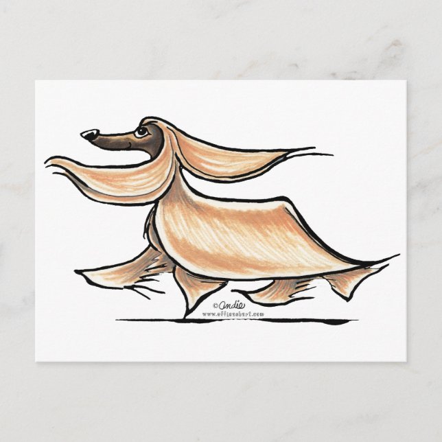Busy Afghan Hound Postcard (Front)