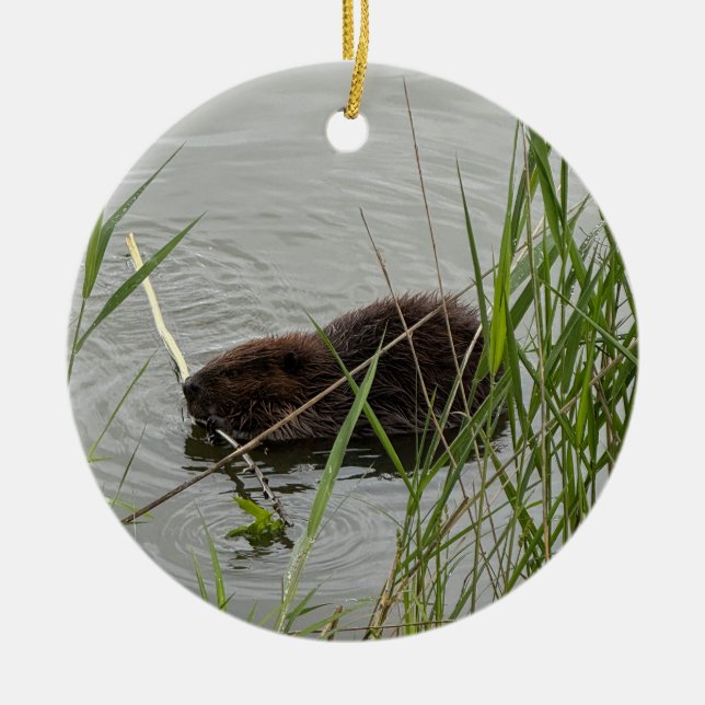 Busy Beaver Ceramic Tree Decoration (Front)