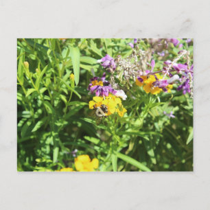 Busy Bee # 2 Postcard