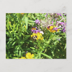Busy Bee # 3 Postcard