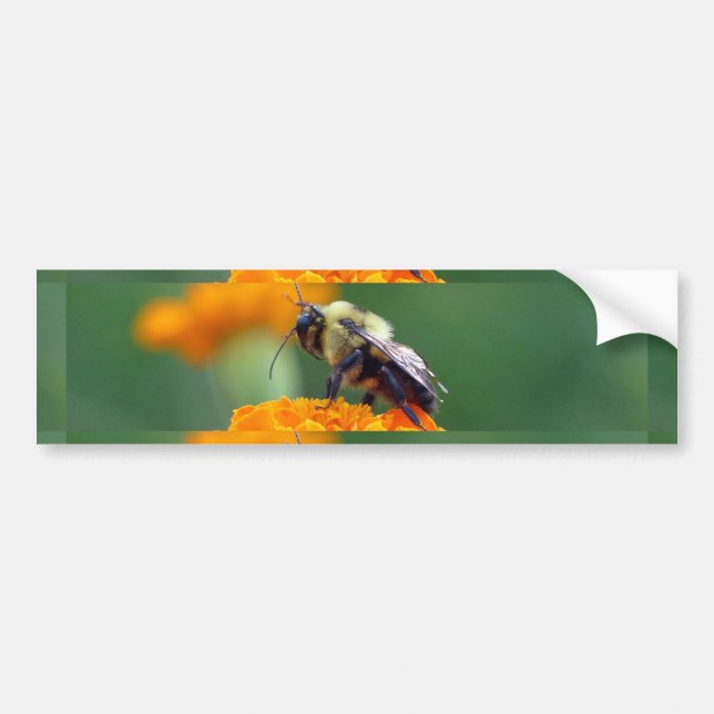 Busy Bee Bumper Sticker (Front)