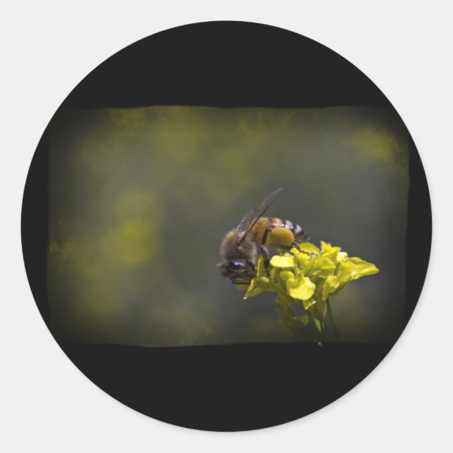Busy Bee Classic Round Sticker (Front)