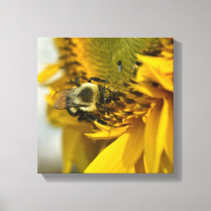 Busy Bee on a Sunflower Canvas Print