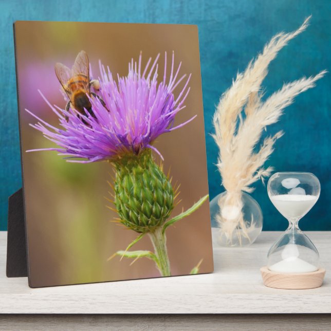 Busy Bee On Purple Thistle Plaque (Side)