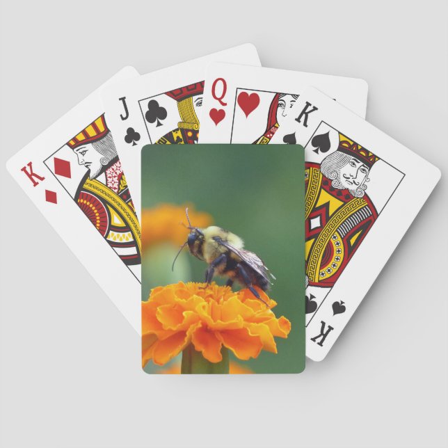 Busy Bee Playing Cards (Back)