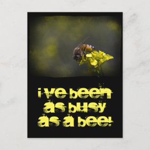 Busy Bee Postcard