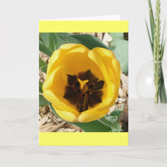 Busy Bee Tulip Card (Front)
