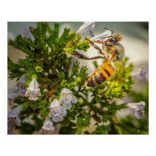 Busy Bee working hard Poster