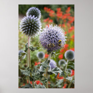 Busy bees ... poster