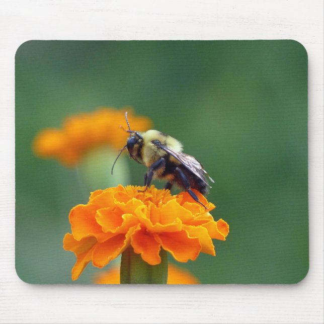 Busy Bumble Bee Mouse Pad (Front)