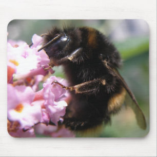 Busy Bumblebee and Pink Flowers Mousepad