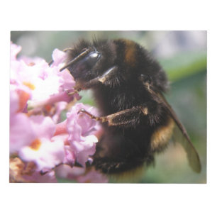 Busy Bumblebee and Pink Flowers Notepad