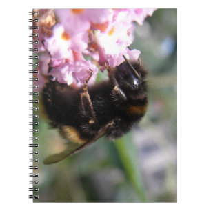 Busy Bumblebee and Pinkl Flowers Notebook