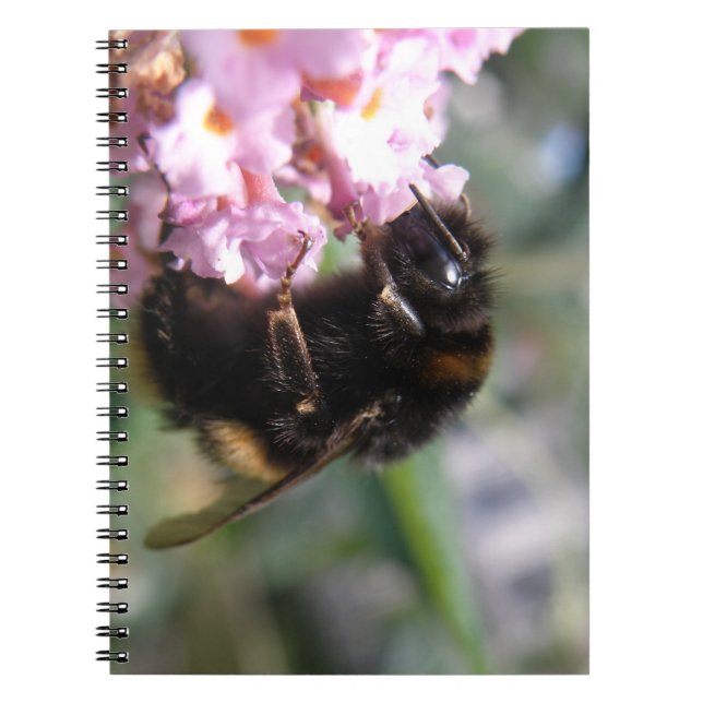 Busy Bumblebee and Pinkl Flowers Notebook (Front)