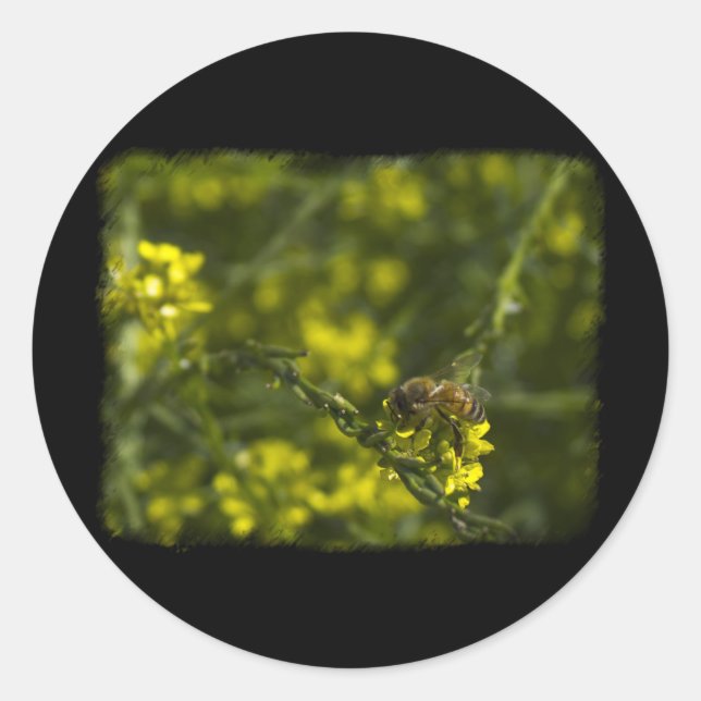 Busy Busy Bee Classic Round Sticker (Front)