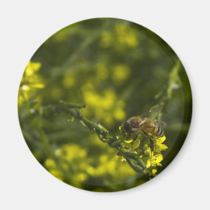 Busy Busy Bee Magnet