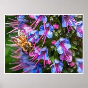 Busy Busy Bee Poster