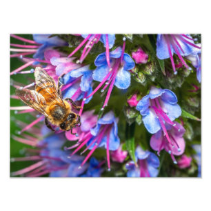 Busy Busy Photo Print