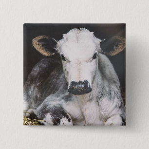 Busy Day Crop 15 Cm Square Badge