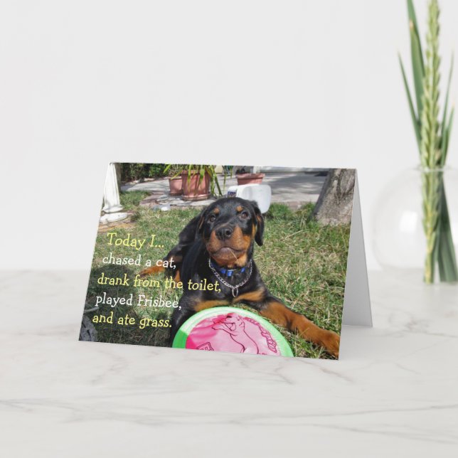 Busy Rottweiler Puppy Anniversary Card (Front)