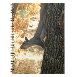 Busy Squirrel Notebook