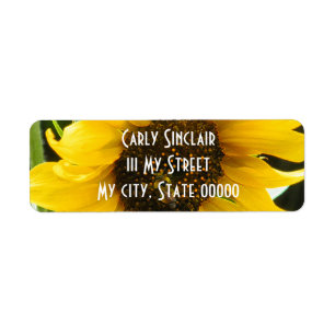 BusyBee_Accented Edges