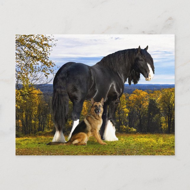 "Butch and Blackbird" Postcard (Front)