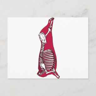 BUTCHER ANATOMY POSTCARD