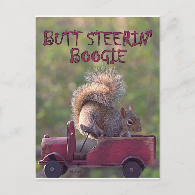 BUTT STEERIN' BOOGIE POSTCARD (Front)