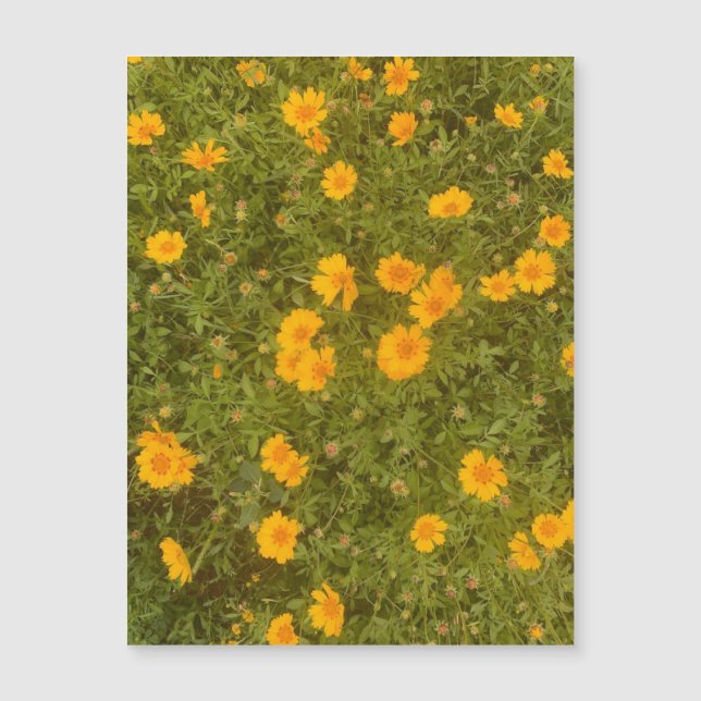 Butter Daisy Garden Magnet (Front)