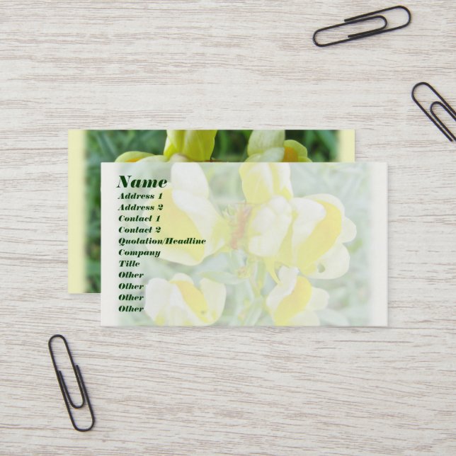 Butter 'n Eggs Wildflower Business Card (Front/Back In Situ)