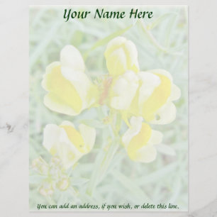 Butter 'n Eggs Wildflower Letterhead Template