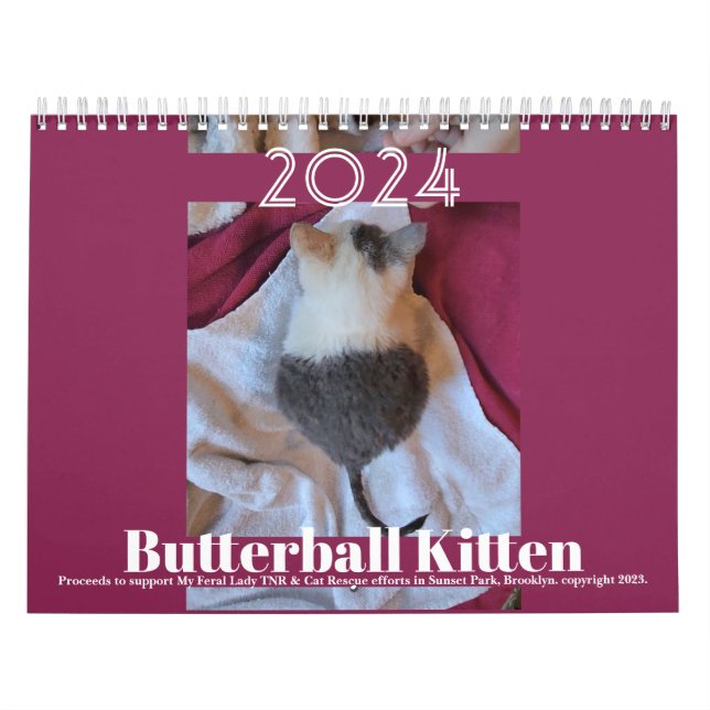 Butterball Kitten: 2024 Calendar (Cover)