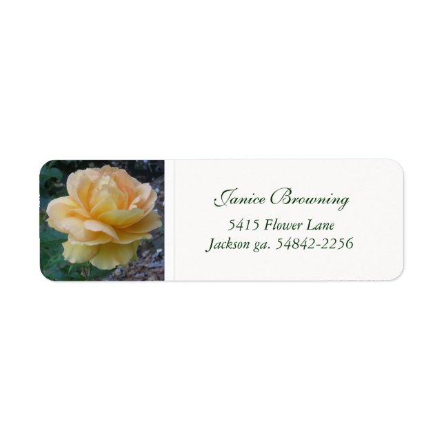 Buttercream Rose Address Label (Front)