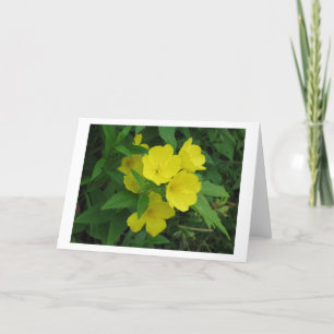 Buttercup Card