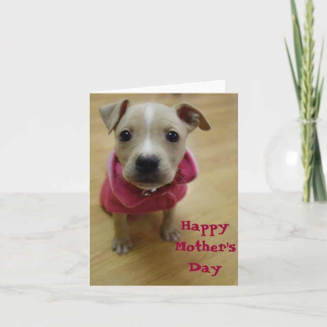Buttercup Card (Front)