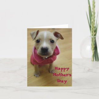 Buttercup Card