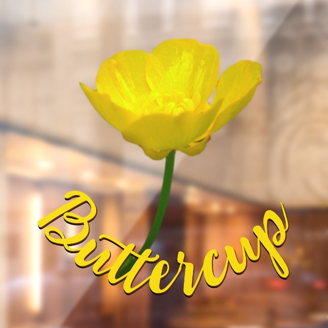 Buttercup Decal Customised Buttercup Window Cling (Sheet 2)