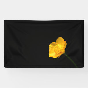 Buttercup Flower bnrcnm Banner