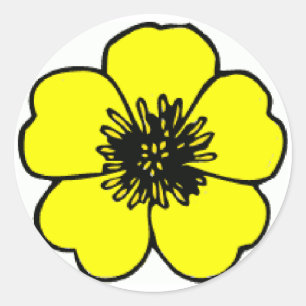 Buttercup Flower Classic Round Sticker