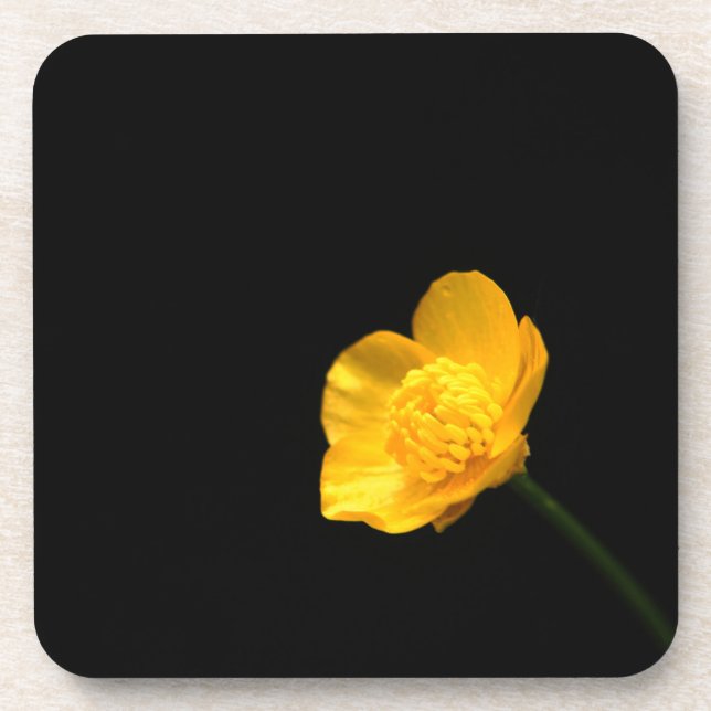 Buttercup Flower coastercn Beverage Coaster (Front)