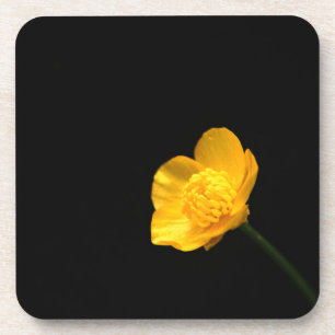 Buttercup Flower coastercna Coaster
