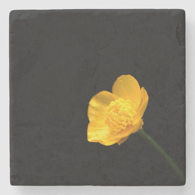 Buttercup Flower coastercna Stone Coaster (Front)